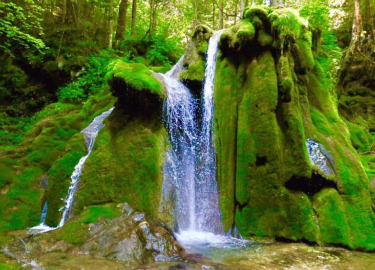 Izvor rijeke Miljacke…