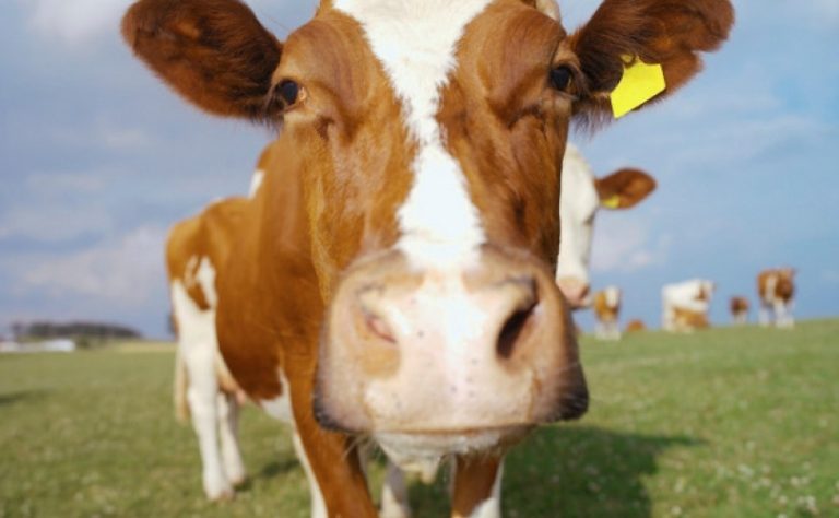 Stupio na snagu entitetski Zakon o podsticajima u privredi RS