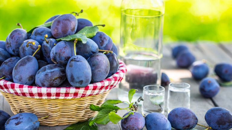 Sajam šljive u Gradačcu od 28. do 31. augusta