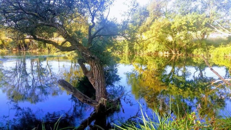 Trebižat jedinstvena ponornica u Evropi
