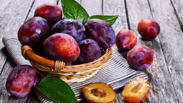 Dani šljive Prozor – Rama 2019