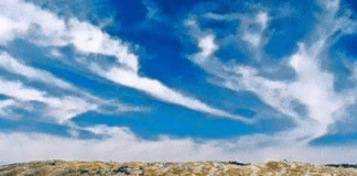 Mehmedalija Mak Dizdar Archives Proizvod Ba