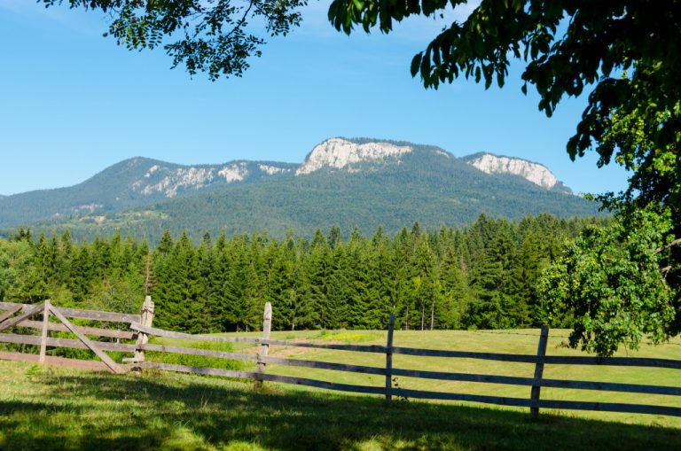 “Magična penjališta” na vidiku
