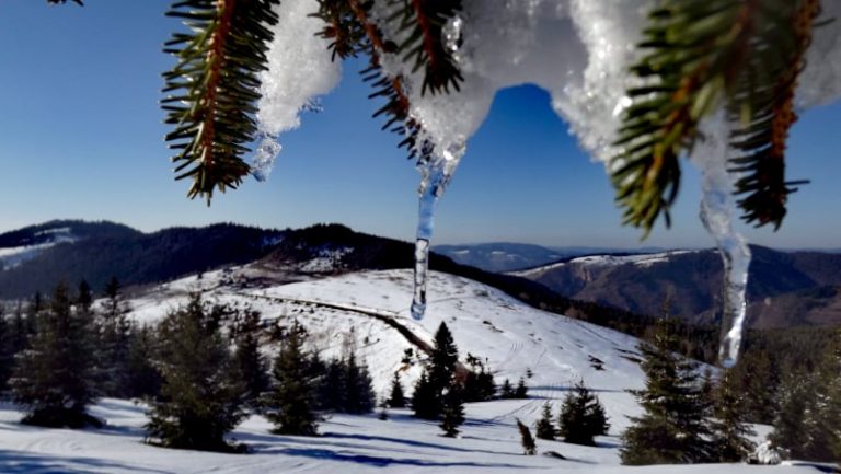 Crepoljsko…sloboda…mir…