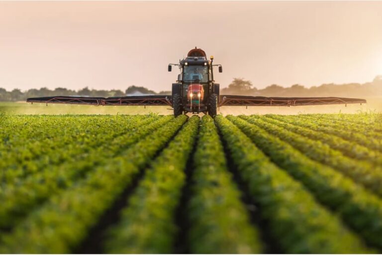 U FBiH povećana proizvodnja kukuruza i soje, manje krompira, jabuka, šljiva i grožđa u 2023