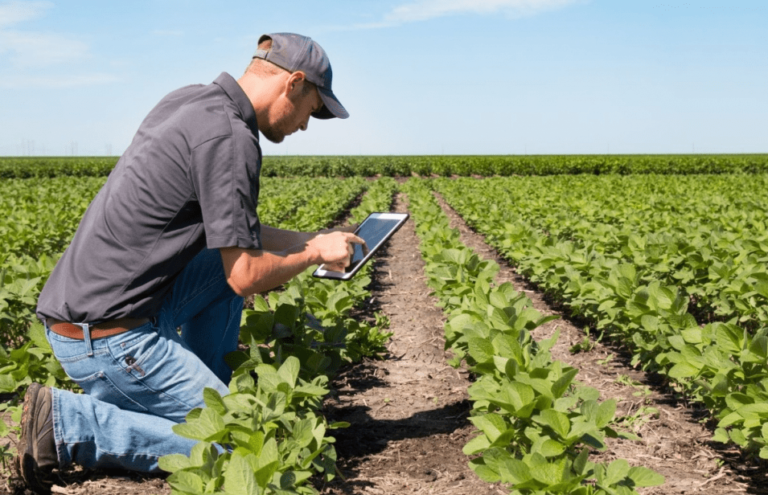 Poljoprivrednici u Federaciji BiH će dobiti novčanu podršku u iznosu od 41,93 posto od iznosa ulaganja