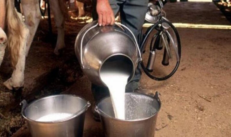 Mljekarski sektor jedan od najuređenijih sektora u Federaciji BiH